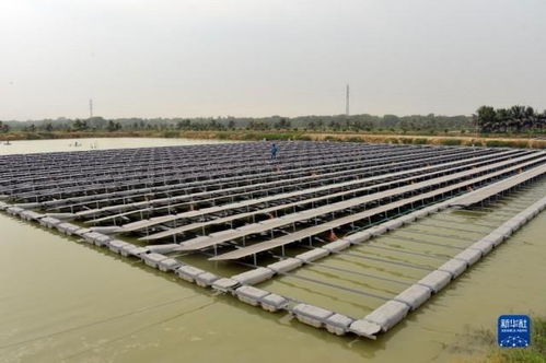 孟加拉國首個水上漂浮太陽能光伏發電站 綠色能源革新與技術服務新篇章